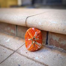 Load image into Gallery viewer, Star Collections